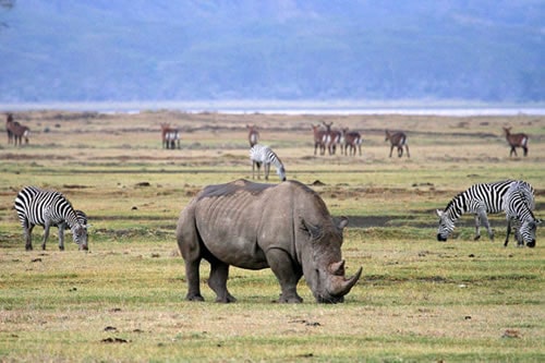 ngorongoro crater