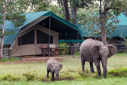 masai mara lodge safaris